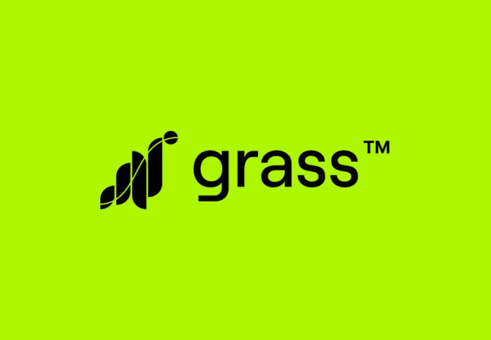 DePIN「Grass」は稼げるのか？これまでの実態と今後の展望をリアルに解説